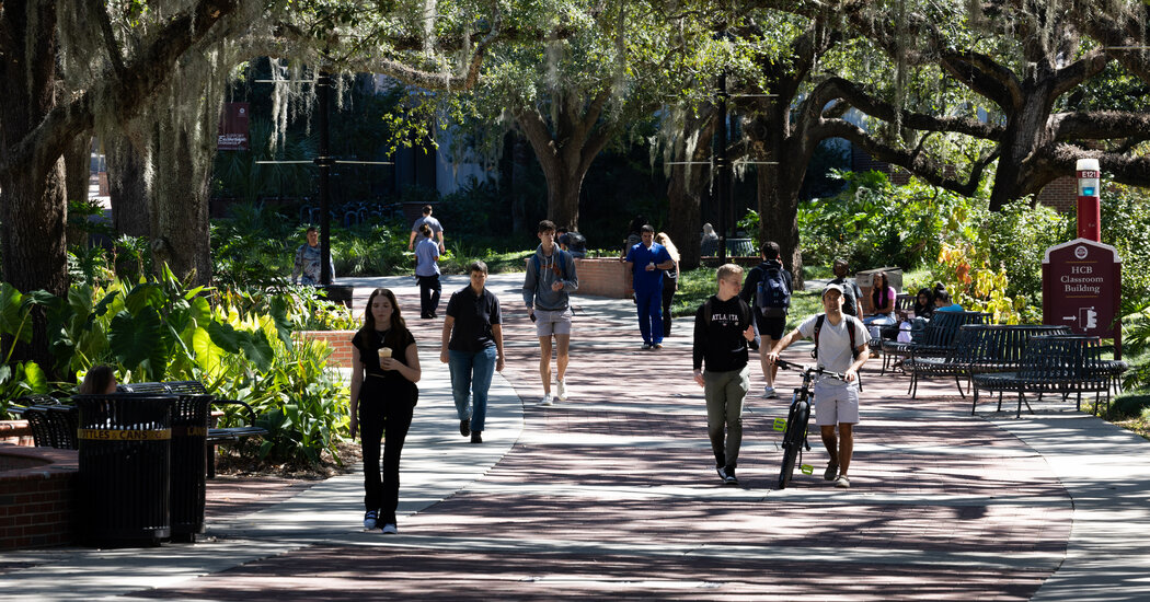 00nat Florida Professor 01 Mtfg Facebookjumbo.jpg